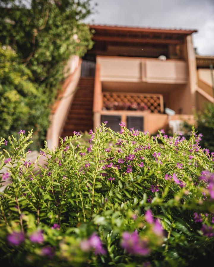 Purple House, 30M To Beach Pula Ngoại thất bức ảnh